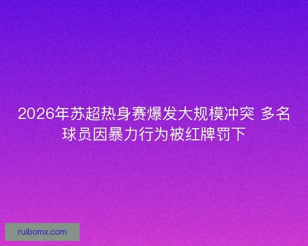 2026年苏超热身赛爆发大规模冲突 多名球员因暴力行为被红牌罚下